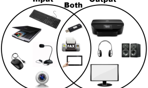 Understanding Input and Output Devices Explained