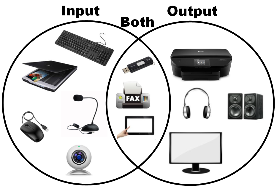 Understanding Input and Output Devices