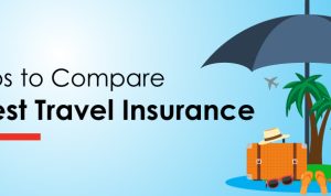 Tips for Choosing the Best Travel Insurance for Your Trip​