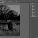 Advanced Masking Techniques in Photoshop – Toptal