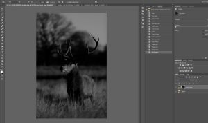 Advanced Masking Techniques in Photoshop – Toptal