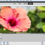 15 Photoshop Tutorials for Beginners – Envato Elements