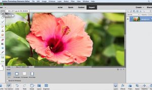 15 Photoshop Tutorials for Beginners – Envato Elements