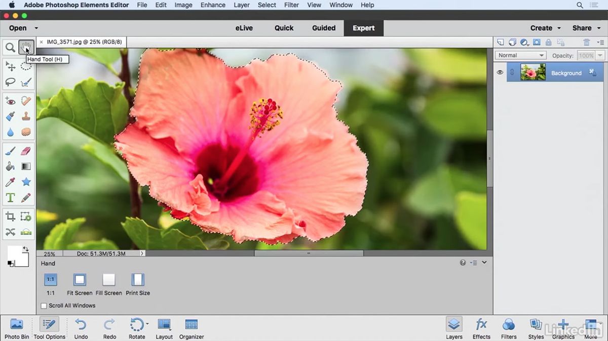 15 Photoshop Tutorials for Beginners – Envato Elements
