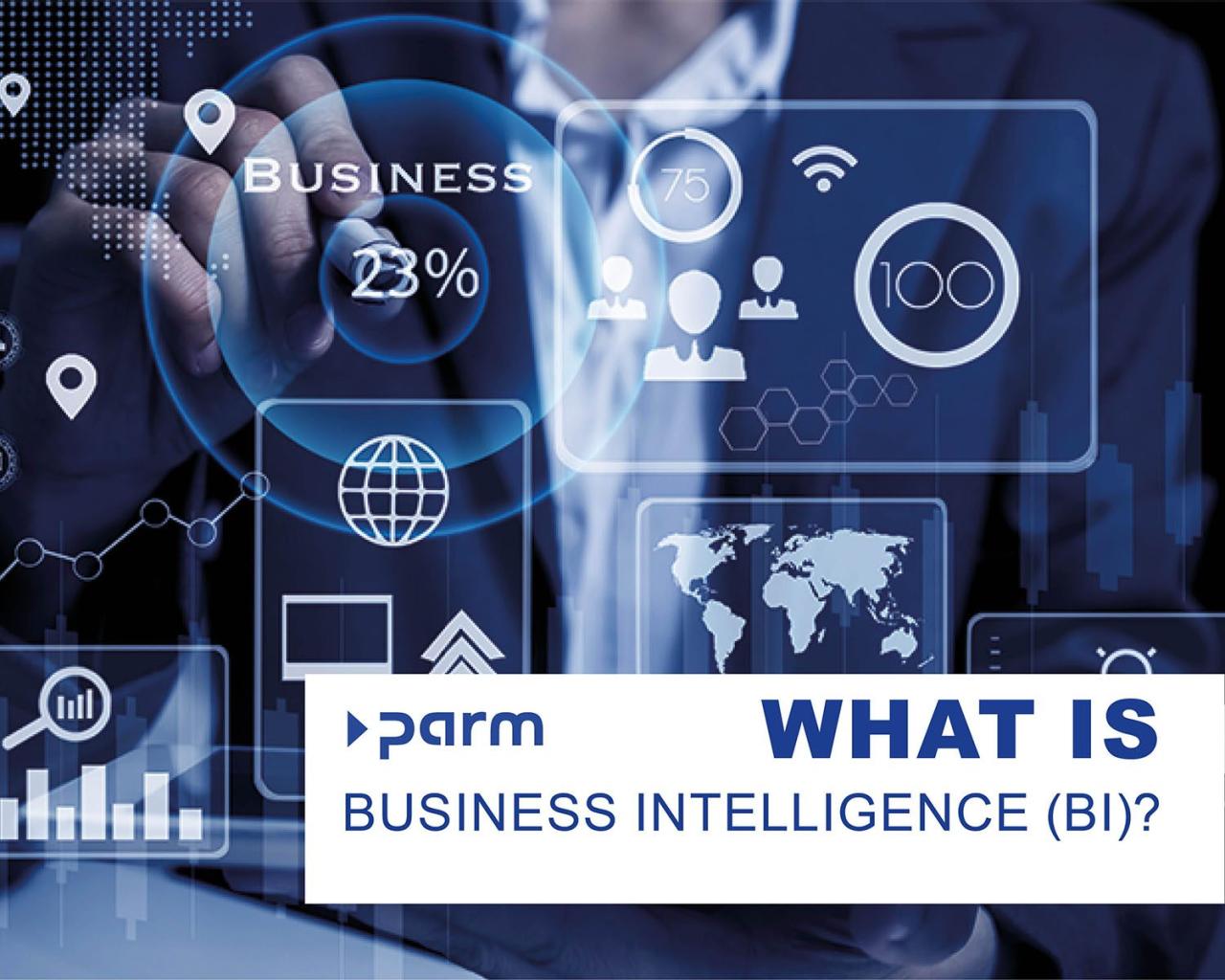 Understanding the Basics of BI