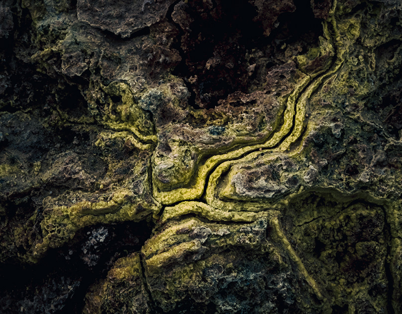 Creating Fantasy Creatures in Photoshop Unleash Your Imagination