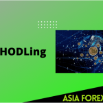 Why HODLing Might Be the Best Strategy in 2025
