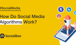 Social Media Algorithms Understanding and Leveraging Changes