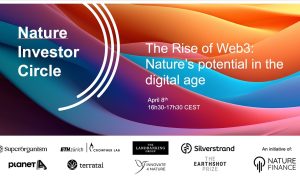 How Web3 Is Redefining Ownership in the Digital Age