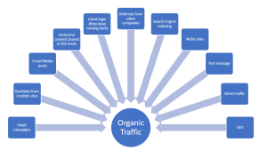 SEO for E-commerce Driving Organic Traffic to Your Store