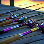 Best Fishing Rods for Beginners in 2025 Unveiled