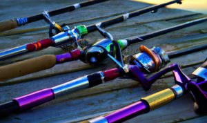 Best Fishing Rods for Beginners in 2025 Unveiled