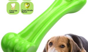 The Best Chew Toys for Aggressive Chewers Unleashed