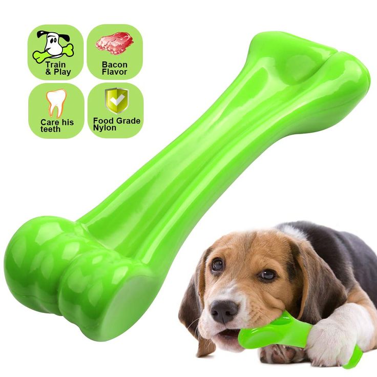 Chew toy dispensing starmark tough toys chewers aggressive chewy breedadvisor The Best Chew Toys for Aggressive Chewers