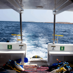 Best Fishing Gear for Boating Enthusiasts Unleashed