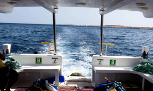 Best Fishing Gear for Boating Enthusiasts Unleashed