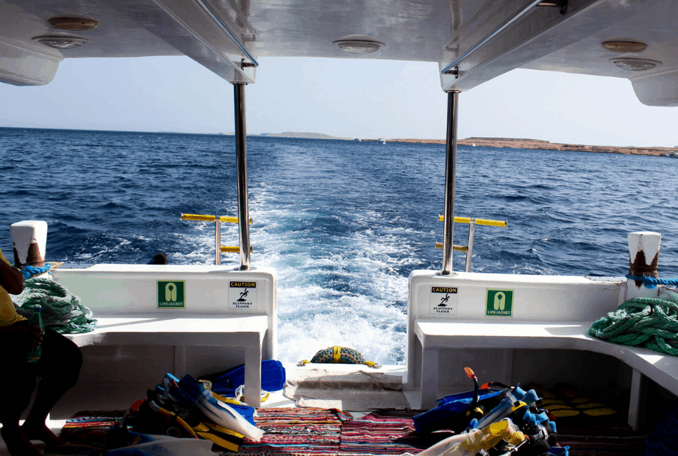 Gear tip carry runner Best Fishing Gear for Boating Enthusiasts