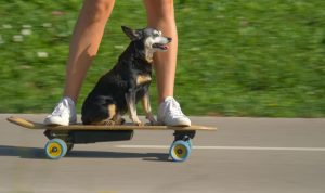 Electric Skateboards Buying Guide for Urban Commuters
