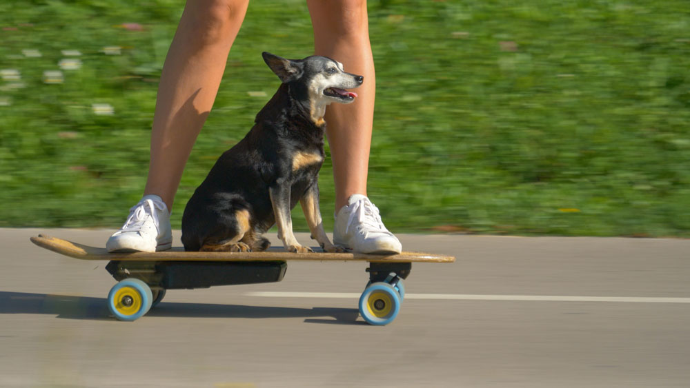 Electric Skateboards Buying Guide for Urban Commuters