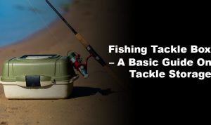 What to Look for When Buying Fishing Tackle Boxes