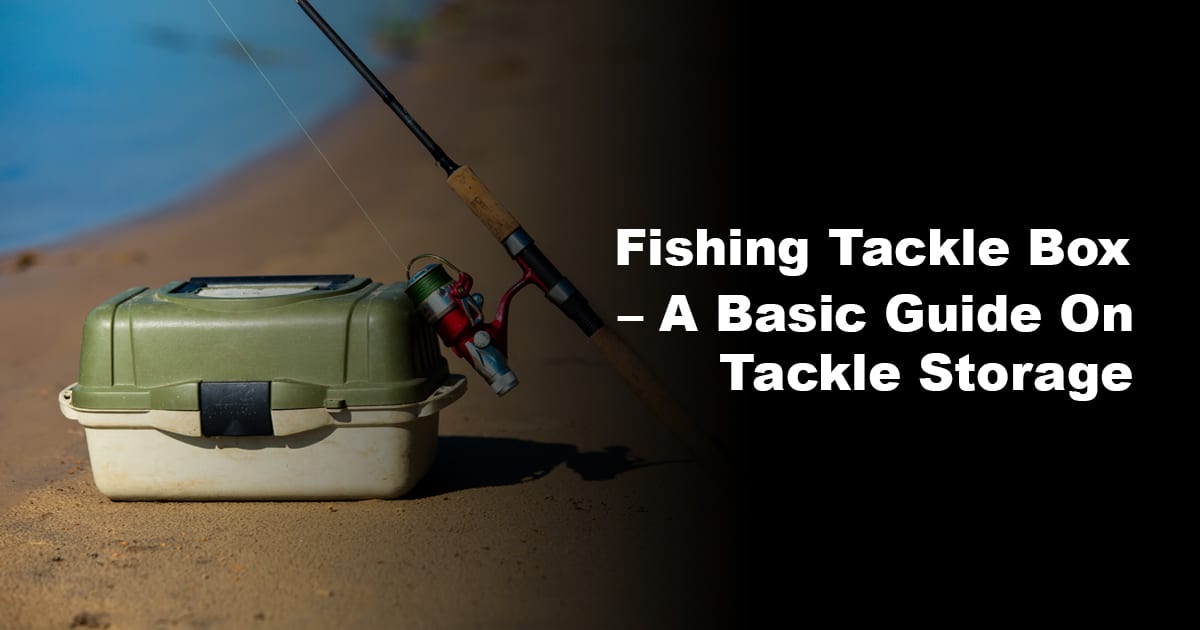 Tackle fishing box boxes best sided plano buyer guide 2020 budget option amazon large What to Look for When Buying Fishing Tackle Boxes