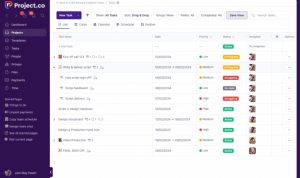 Project Portfolio Management Tools For Success