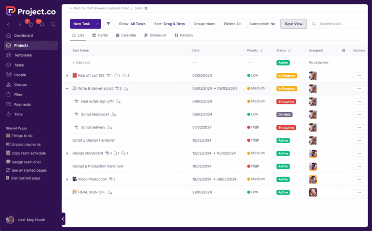 Project portfolio management tools