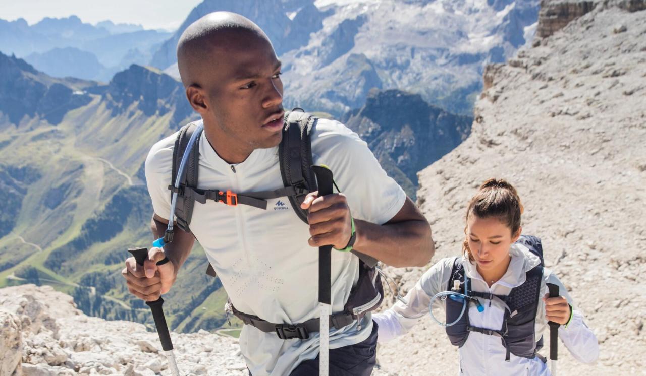 The Ultimate Guide to Buying Hiking Poles Online