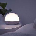 Best Wellness Products to Transform Your Daily Routine
