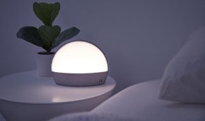 Best Wellness Products to Transform Your Daily Routine
