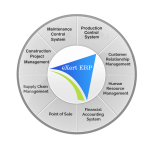 Enterprise Resource Planning Selection Made Easy