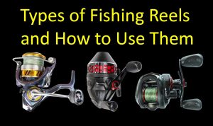 Comparing Spinning vs Baitcasting Reels for Fishing