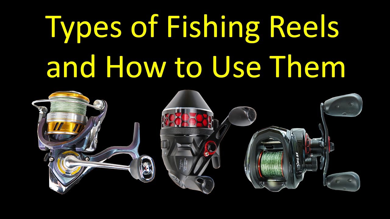 Reel baitcasting spinning vs ne fishing share facebook Comparing Spinning vs Baitcasting Reels for Fishing