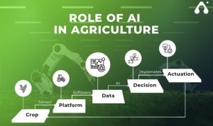 Agriculture and BI Data-Driven Farming Insights