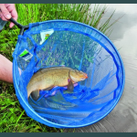 Best Fishing Nets for Landing Your Catch