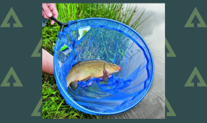 Best Fishing Nets for Landing Your Catch