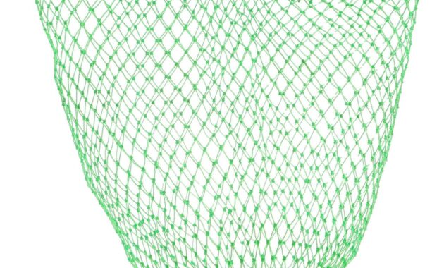 Best Fishing Landing Nets for Catch and Release