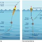 How to Pick the Right Fishing Float or Bobber for Your Needs