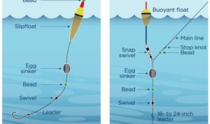How to Pick the Right Fishing Float or Bobber for Your Needs