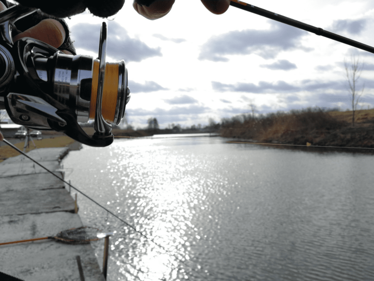 The Advantages of Fluorocarbon Fishing Lines Unveiled