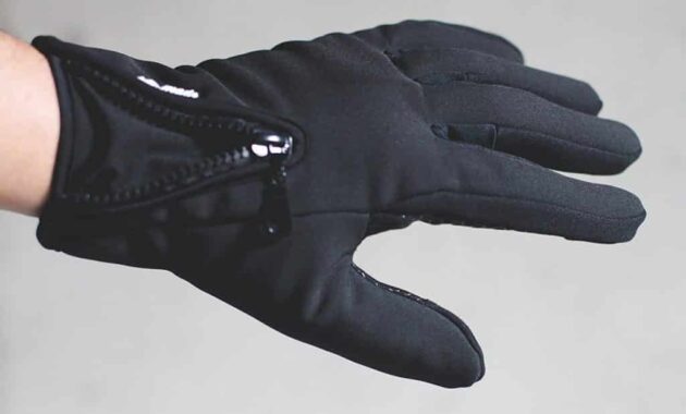 Best Hiking Gloves for Cold and Wet Conditions Unveiled
