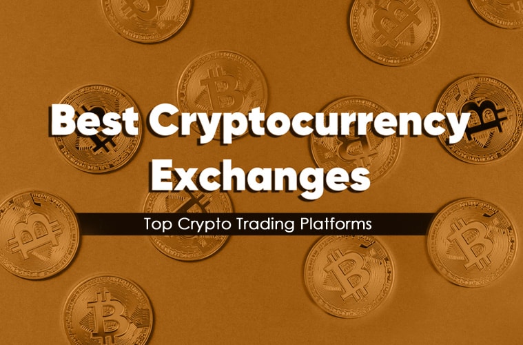 The Best Cryptocurrency Exchanges for Beginners - 36Crypto Comparing the Best Crypto Exchanges for Beginners