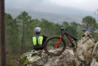 Essential Tips for Buying a Mountain Bike for Beginners