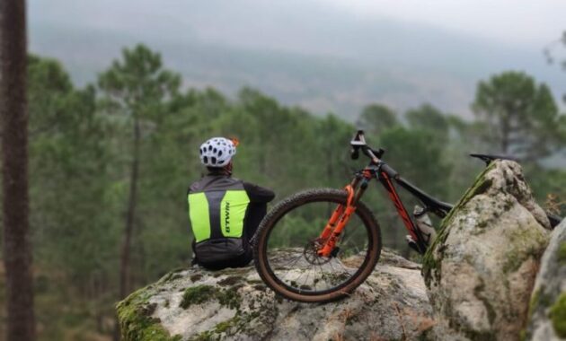 Essential Tips for Buying a Mountain Bike for Beginners