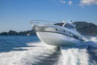 How to Buy a Boat for Performance and Speed Unleashed