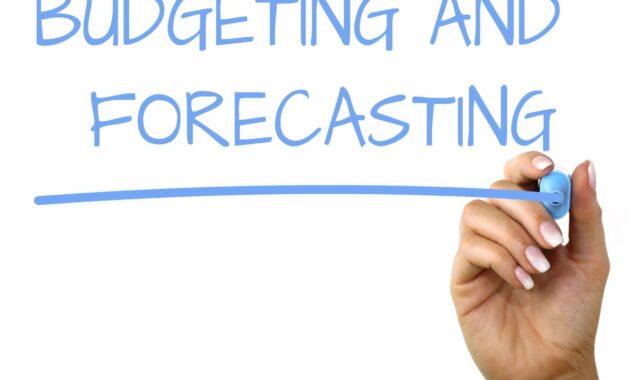 Budgeting for Big Online Purchases Made Easy