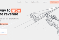 How to Buy Software for Website Performance Optimization Made Easy