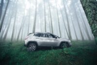 How to Understand the True Cost of Car Ownership