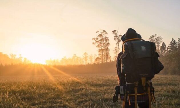 Comparing Hiking Backpacks with Frame Support for Your Adventures