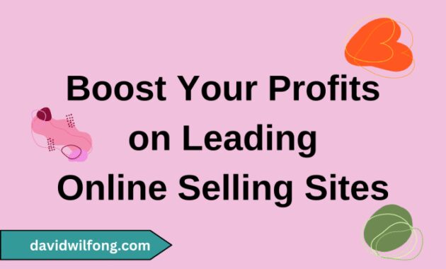 How to Maximize Profits Selling Online Today